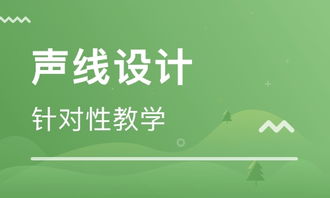 武汉诗睿迪音乐怎么样 武汉诗睿迪音乐教育 课程价格
