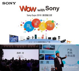 王者归来 2018索尼魅力赏揭示索尼 后复兴战略