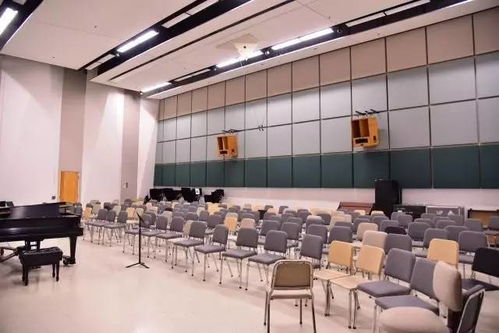 国际音乐精英培录计划 夏令营2017季精彩回顾